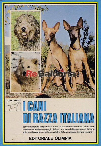 I cani di razza italiana