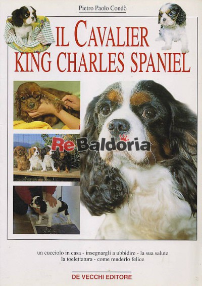 Il Cavalier King Charles Spaniel