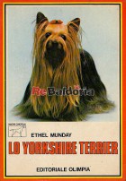 Lo Yorkshire Terrier