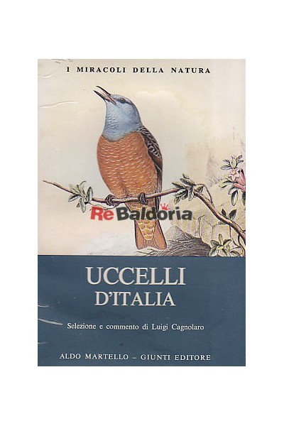 Uccelli d'Italia