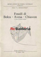 Fossili di Bolca - Avesa - Chiavon