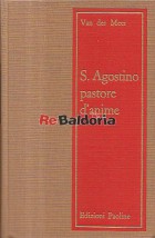 S. Agostino pastore d'anime