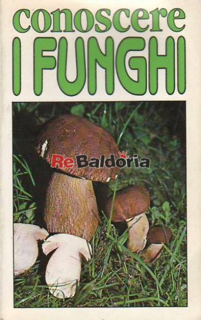 Conoscere i funghi