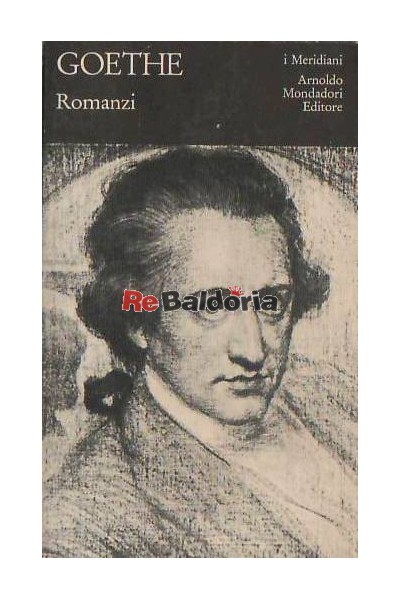 Goethe Romanzi