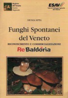 Funghi spontanei del Veneto