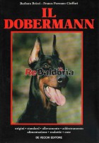Il dobermann