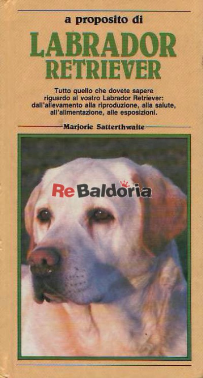 A proposito di Labrador Retriever