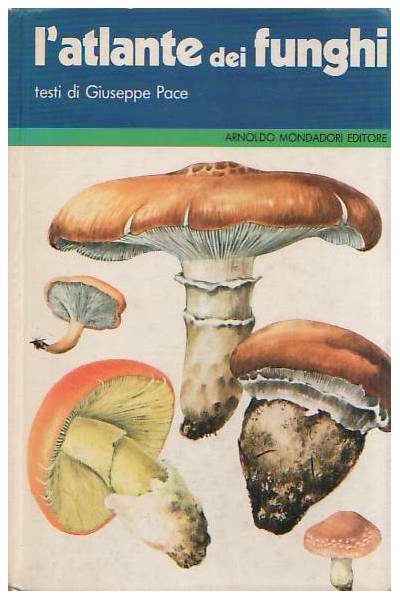 L'atlante dei funghi
