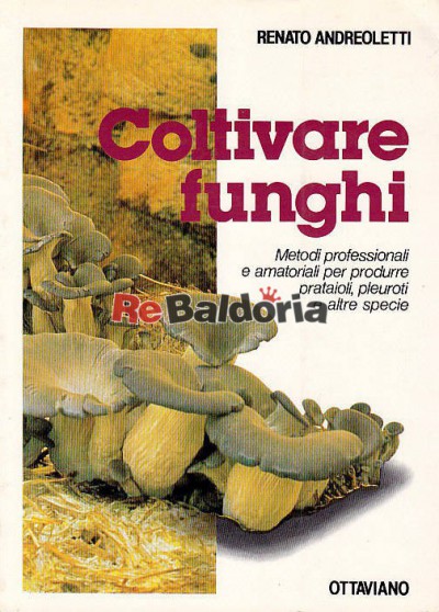 Coltivare funghi
