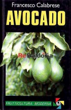 L'avocado