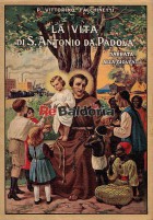 La vita di S. Antonio da Padova