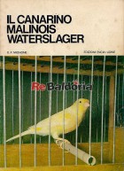Il canarino Malinois Waterslager