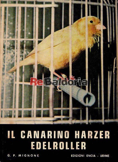 Il canarino Harzer Edelroller
