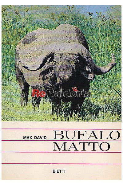 Bufalo Matto