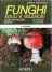 Funghi eduli e velenosi