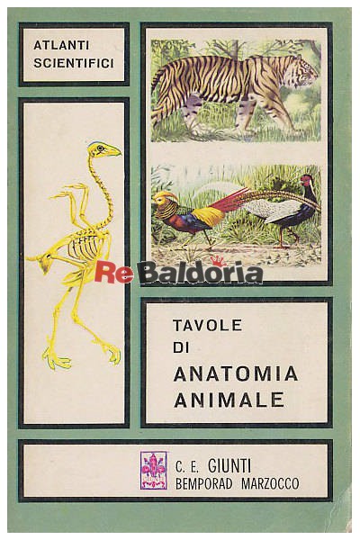Tavole di anatomia animale