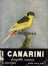 I canarini - Fringilla canaria