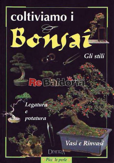 Coltiviamo i bonsai 
