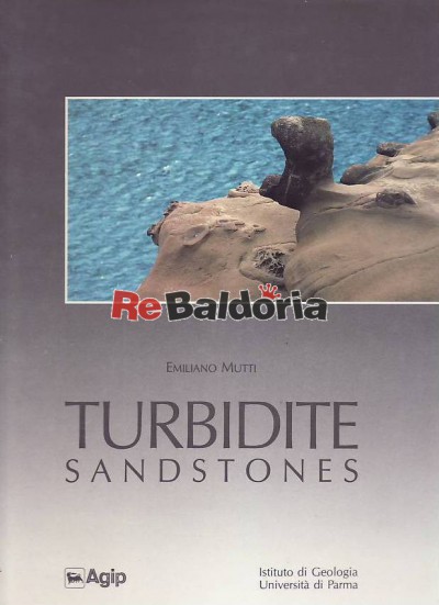Turbidite Sandstone